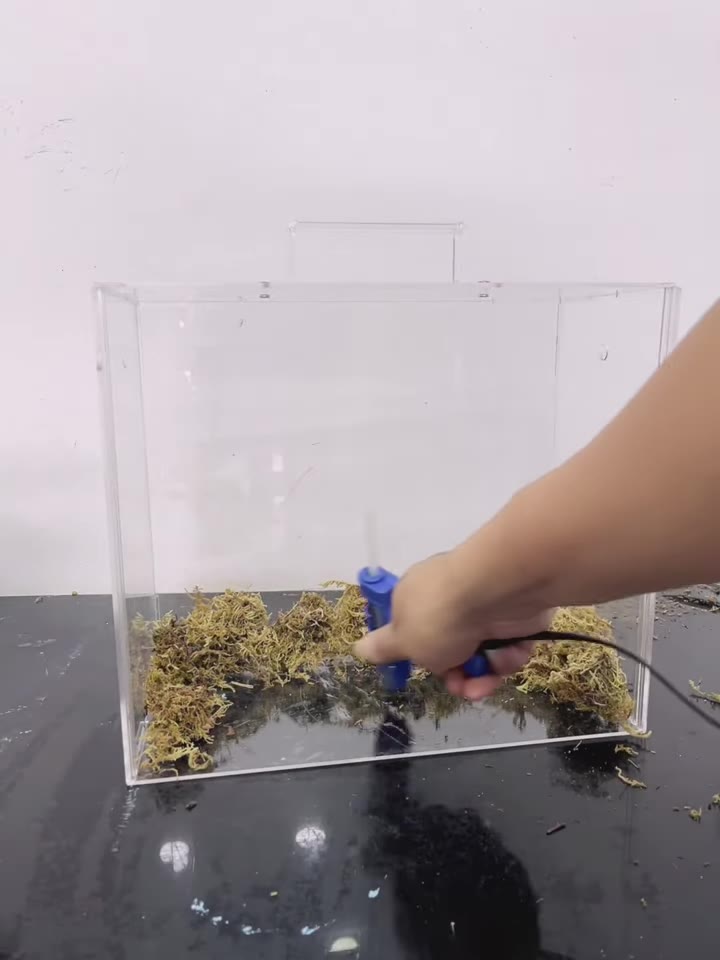 Bước 5: Phủ rêu và cố định hoa