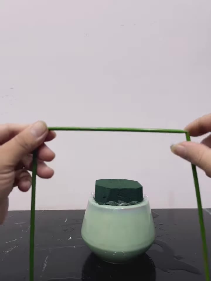 Bước 2: Cắm cây thủy trúc