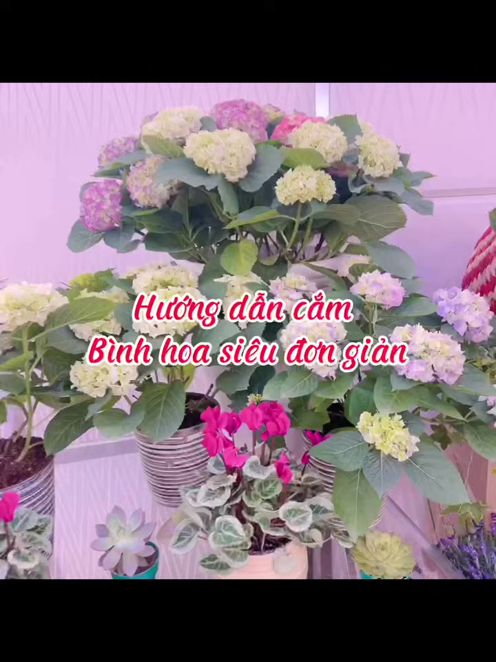 Bước 1: Chuẩn bị xốp