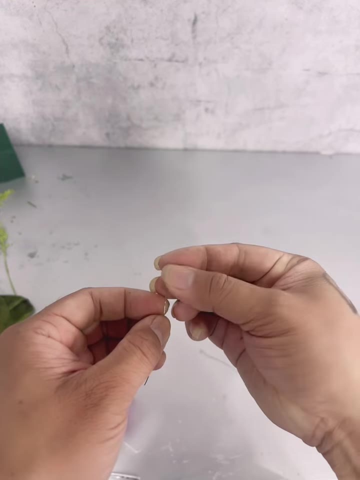 Bước 4: Quấn kẽm vào hoa lan