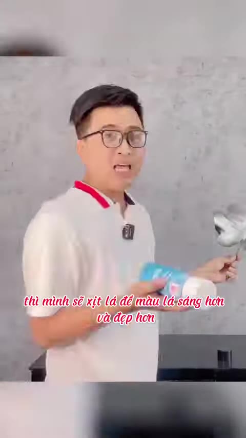 Bước 2: Xịt lá cho sáng