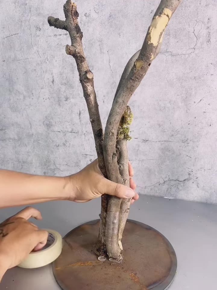 Bước 4: Tạo Dáng Cây