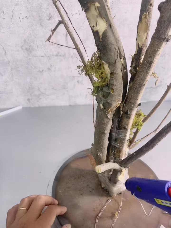 Bước 7: Dán Rêu Rừng